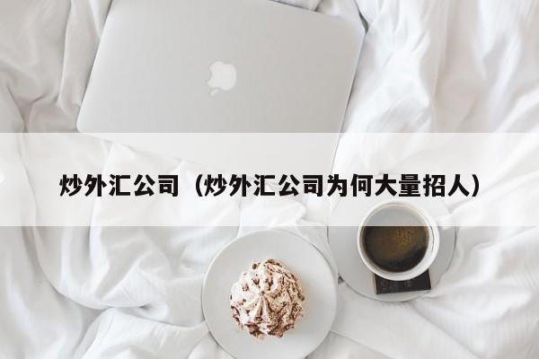 炒外汇公司（炒外汇公司为何大量招人）
