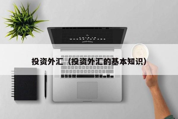 投资外汇（投资外汇的基本知识）