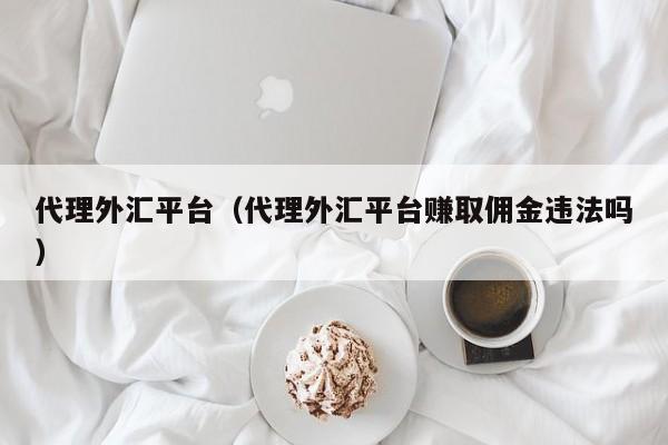 代理外汇平台（代理外汇平台赚取佣金违法吗）