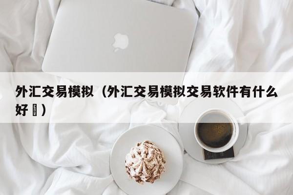 外汇交易模拟（外汇交易模拟交易软件有什么好夿）
