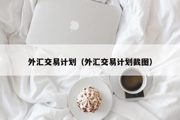 外汇交易计划（外汇交易计划截图）