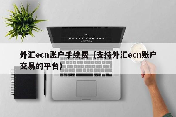 外汇ecn账户手续费（支持外汇ecn账户交易的平台）