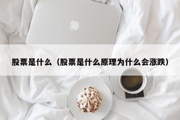 股票是什么（股票是什么原理为什么会涨跌）