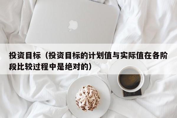 投资目标（投资目标的计划值与实际值在各阶段比较过程中是绝对的）