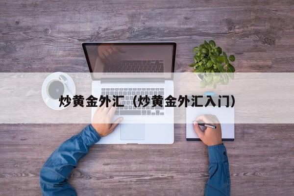 炒黄金外汇（炒黄金外汇入门）