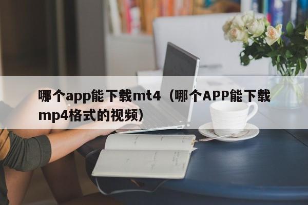 哪个app能下载mt4（哪个APP能下载mp4格式的视频）