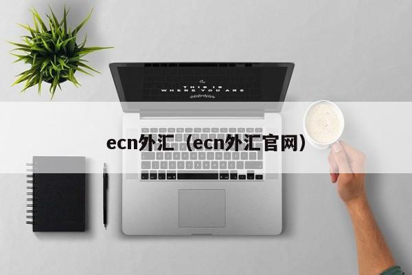 ecn外汇（ecn外汇官网）