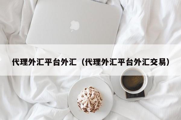 代理外汇平台外汇（代理外汇平台外汇交易）