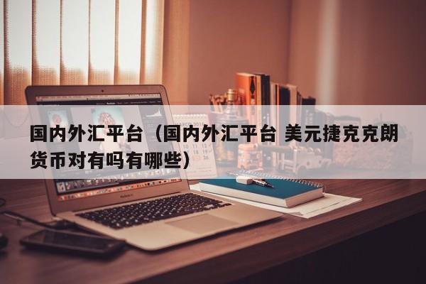 国内外汇平台（国内外汇平台 美元捷克克朗货币对有吗有哪些）