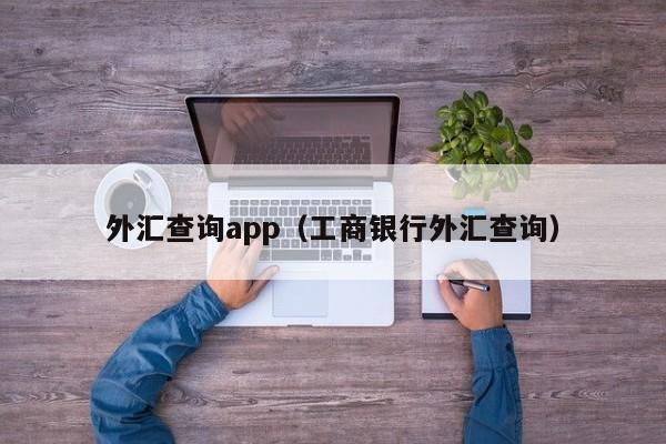 外汇查询app（工商银行外汇查询）