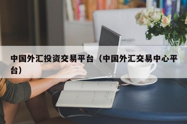中国外汇投资交易平台（中国外汇交易中心平台）