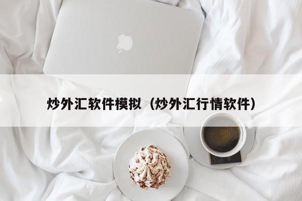 炒外汇软件模拟（炒外汇行情软件）