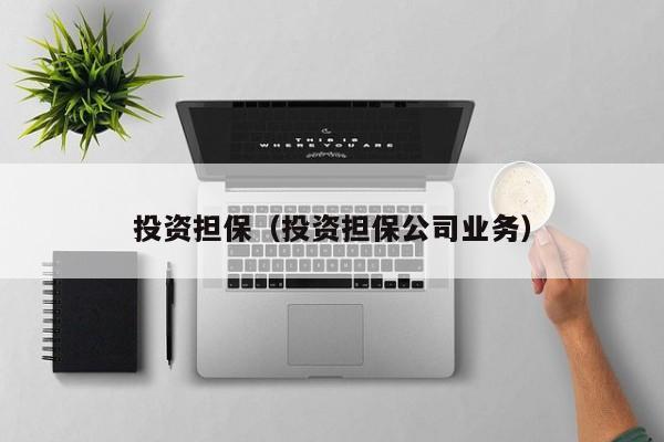 投资担保（投资担保公司业务）