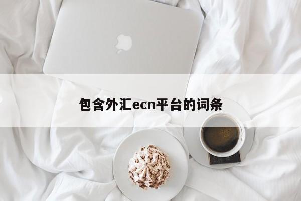 包含外汇ecn平台的词条