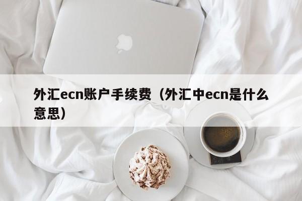 外汇ecn账户手续费（外汇中ecn是什么意思）