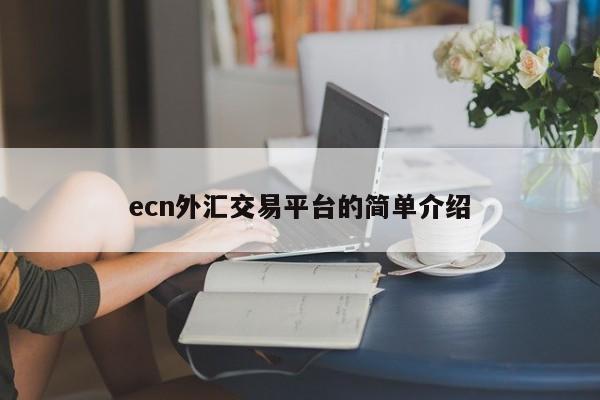 ecn外汇交易平台的简单介绍