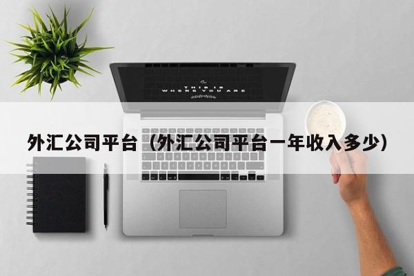 外汇公司平台（外汇公司平台一年收入多少）
