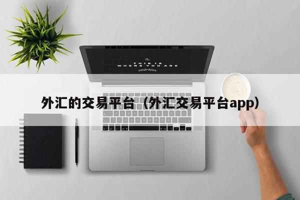 外汇的交易平台（外汇交易平台app）