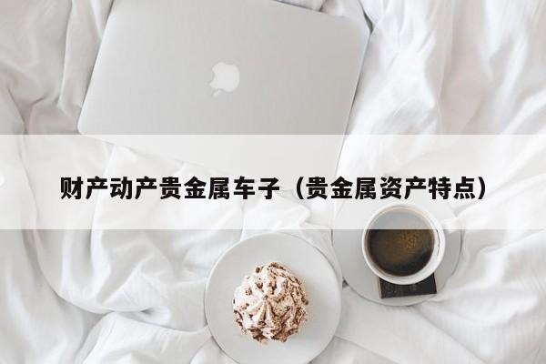 财产动产贵金属车子（贵金属资产特点）