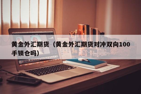 黄金外汇期货（黄金外汇期货对冲双向100手锁仓吗）