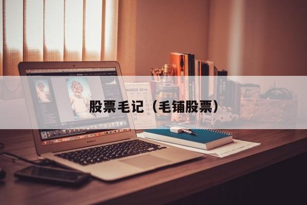 股票毛记（毛铺股票）