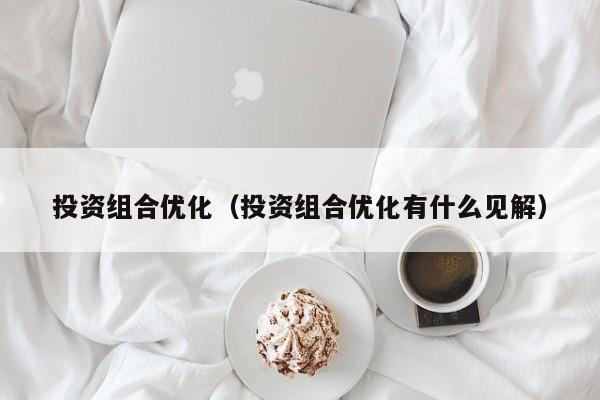 投资组合优化（投资组合优化有什么见解）