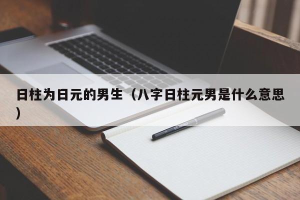 日柱为日元的男生（八字日柱元男是什么意思）