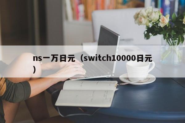 ns一万日元（switch10000日元）