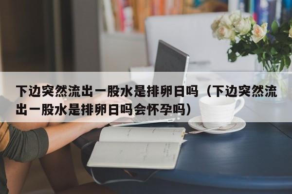 下边突然流出一股水是排卵日吗（下边突然流出一股水是排卵日吗会怀孕吗）