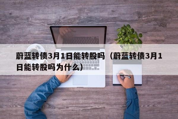 蔚蓝转债3月1日能转股吗（蔚蓝转债3月1日能转股吗为什么）