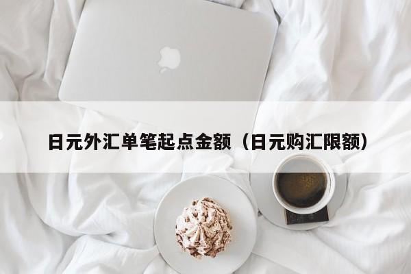 日元外汇单笔起点金额（日元购汇限额）