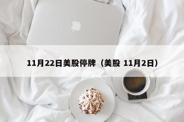 11月22日美股停牌（美股 11月2日）