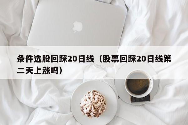 条件选股回踩20日线（股票回踩20日线第二天上涨吗）