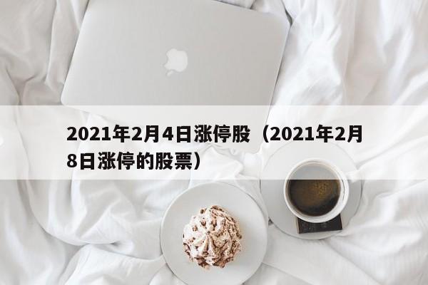 2021年2月4日涨停股（2021年2月8日涨停的股票）