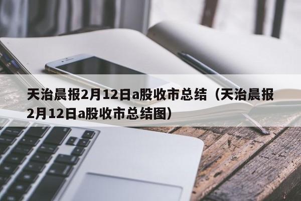 天治晨报2月12日a股收市总结（天治晨报2月12日a股收市总结图）