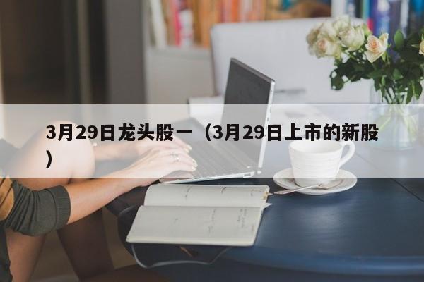 3月29日龙头股一（3月29日上市的新股）