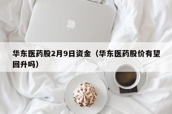 华东医药股2月9日资金（华东医药股价有望回升吗）