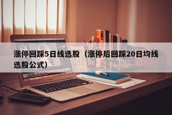 涨停回踩5日线选股（涨停后回踩20日均线选股公式）