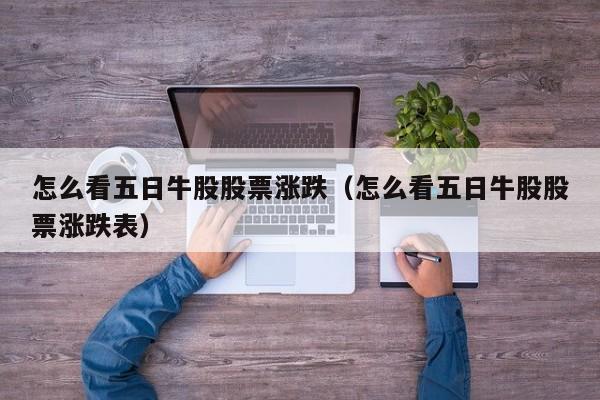 怎么看五日牛股股票涨跌（怎么看五日牛股股票涨跌表）