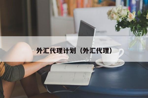 外汇代理计划（外汇代理）