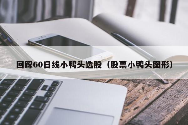 回踩60日线小鸭头选股（股票小鸭头图形）