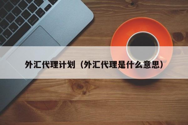 外汇代理计划（外汇代理是什么意思）
