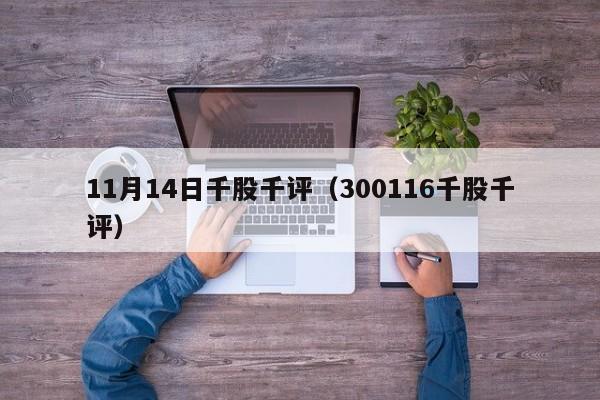 11月14日千股千评（300116千股千评）