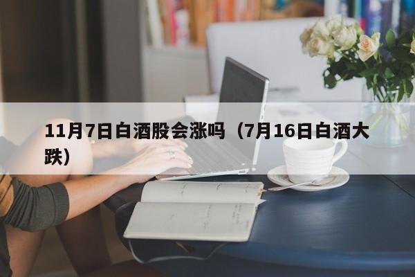 11月7日白酒股会涨吗（7月16日白酒大跌）