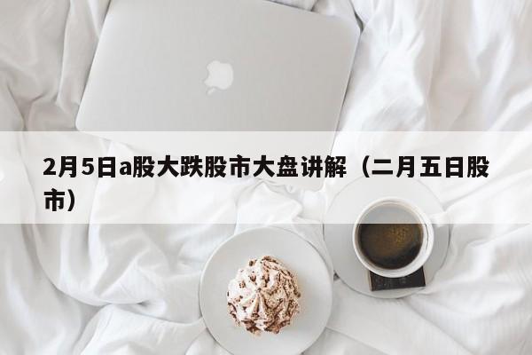 2月5日a股大跌股市大盘讲解（二月五日股市）