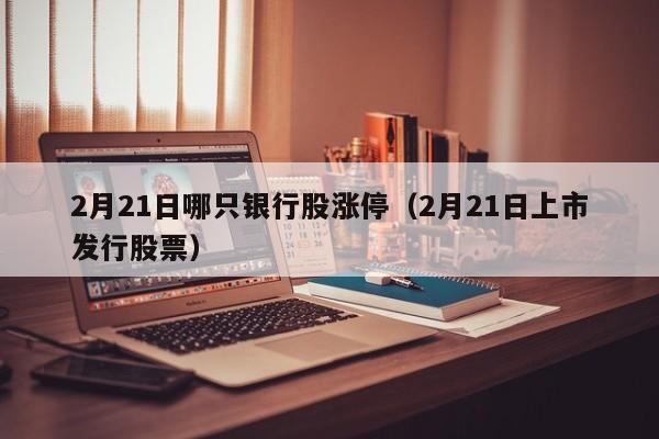 2月21日哪只银行股涨停（2月21日上市发行股票）