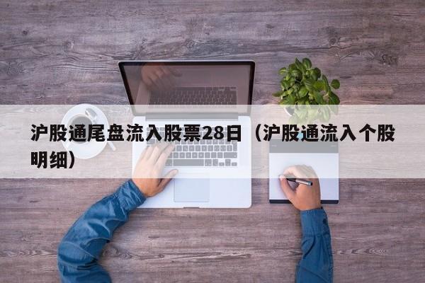 沪股通尾盘流入股票28日（沪股通流入个股明细）