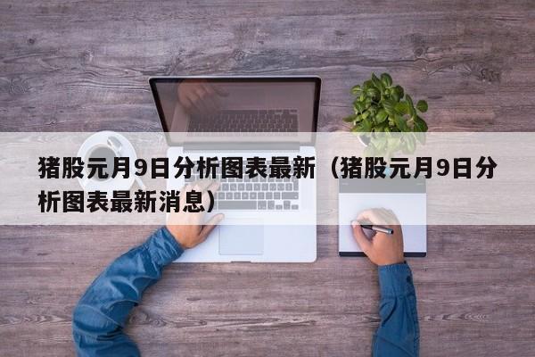 猪股元月9日分析图表最新（猪股元月9日分析图表最新消息）