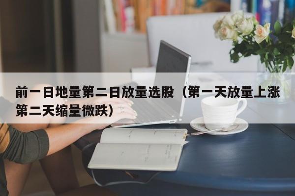 前一日地量第二日放量选股（第一天放量上涨第二天缩量微跌）