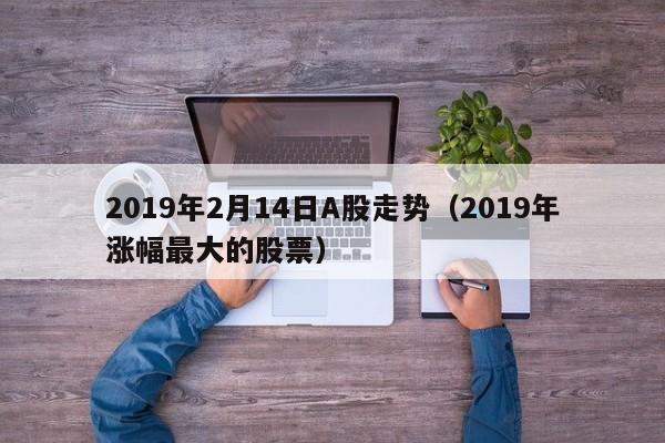 2019年2月14日A股走势（2019年涨幅最大的股票）